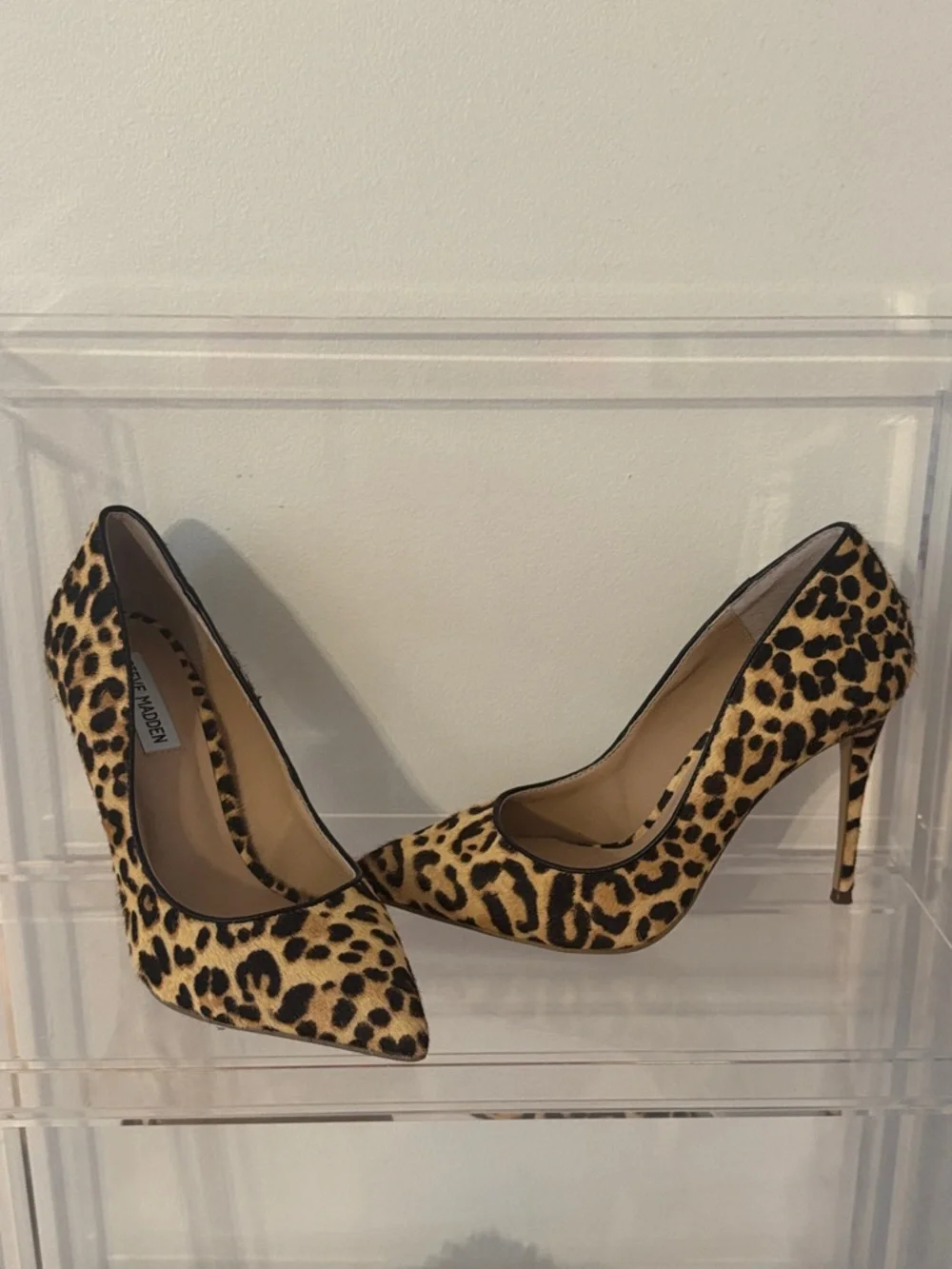Steve Madden Daisie leopard print haircalf pumps 9 NEW - Picture 2 of 11